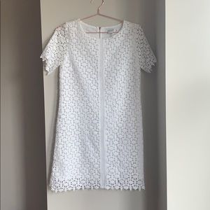 Short Sleeve Lace Shift Dress